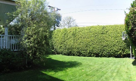 Enlarge photo 60