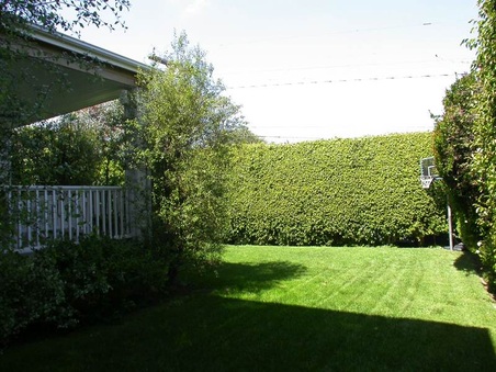 Enlarge photo 63