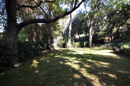 Enlarge photo 52