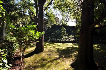 Enlarge photo 53