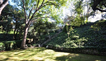 Enlarge photo 55