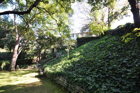 Enlarge photo 56