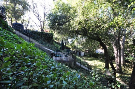 Enlarge photo 57