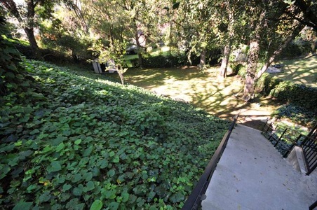 Enlarge photo 58