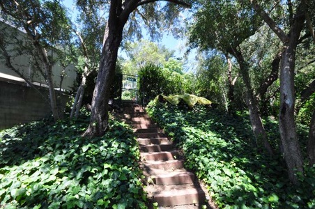 Enlarge photo 118