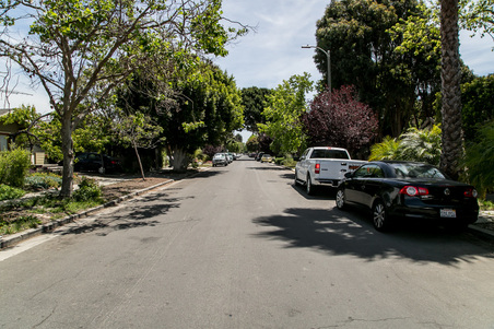 Enlarge photo 61