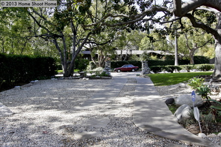 Enlarge photo 54