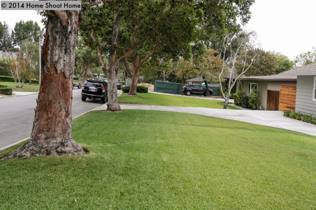 Enlarge photo 49