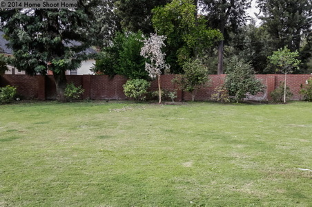Enlarge photo 64