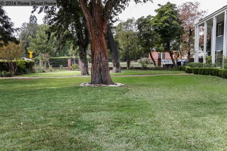 Enlarge photo 69