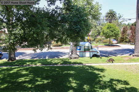 Enlarge photo 58