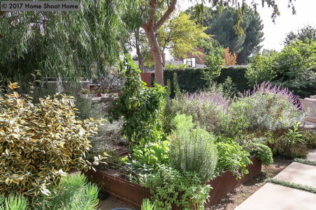 Enlarge photo 51