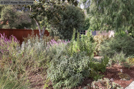 Enlarge photo 52