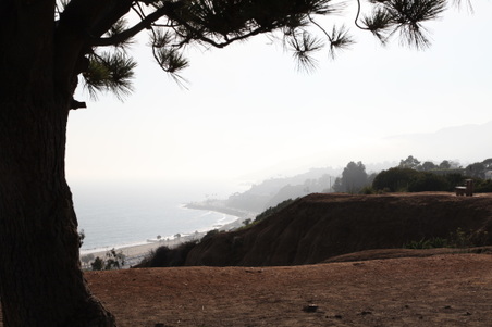 Enlarge photo 14