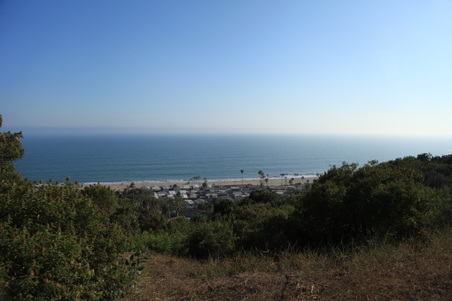 Enlarge photo 35