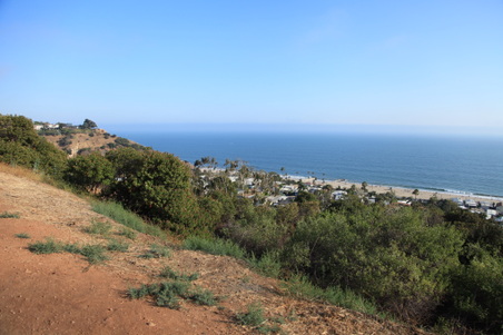 Enlarge photo 40