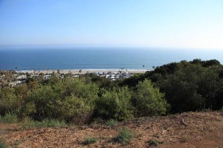 Enlarge photo 41