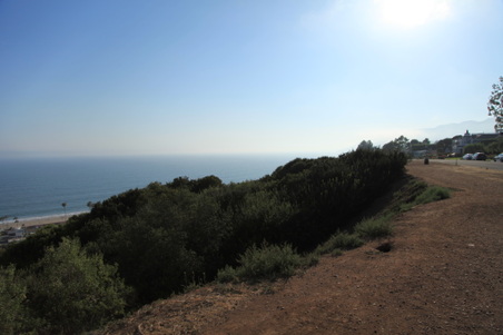 Enlarge photo 42
