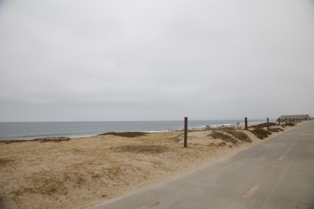 Enlarge photo 51