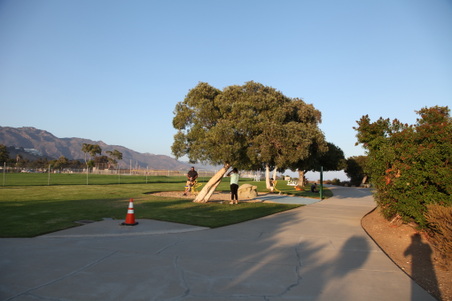 Enlarge photo 22