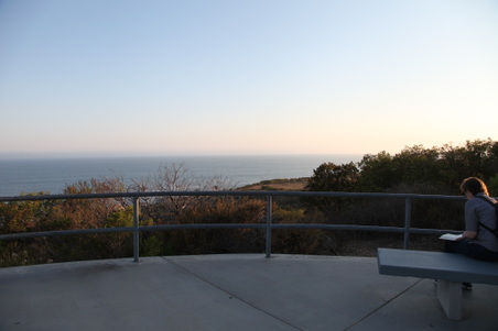 Enlarge photo 37