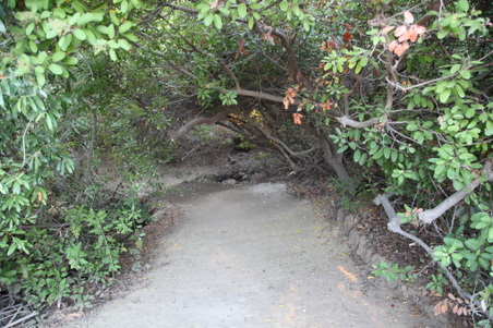 Enlarge photo 41