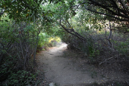 Enlarge photo 42