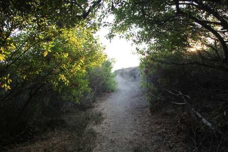 Enlarge photo 43