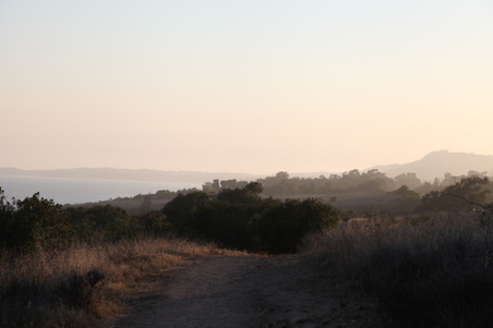 Enlarge photo 46
