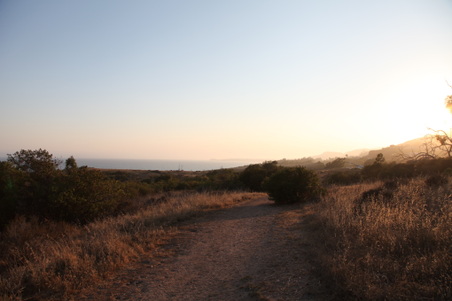 Enlarge photo 47