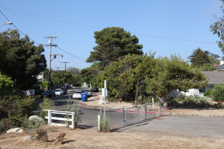 Enlarge photo 5