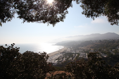 Enlarge photo 24