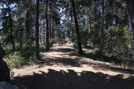 Cedar Grove/Griffith Park
