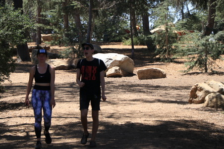 Enlarge photo 3