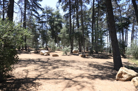 Enlarge photo 4