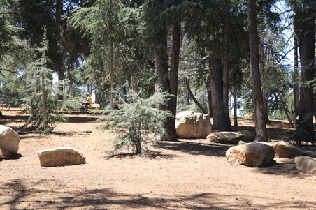 Enlarge photo 5