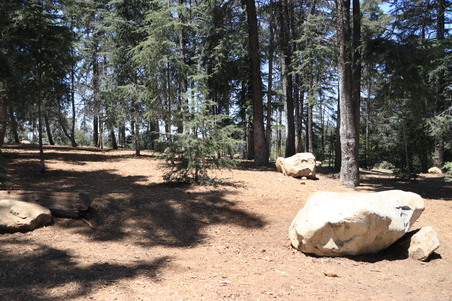 Enlarge photo 7