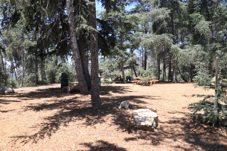 Enlarge photo 10