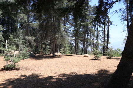 Enlarge photo 13