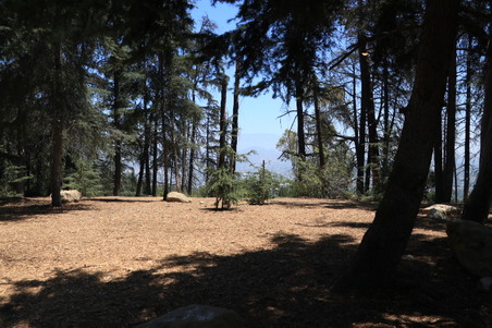Enlarge photo 14