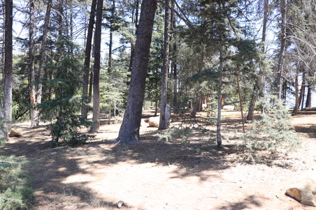 Enlarge photo 15