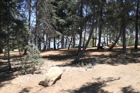 Enlarge photo 16
