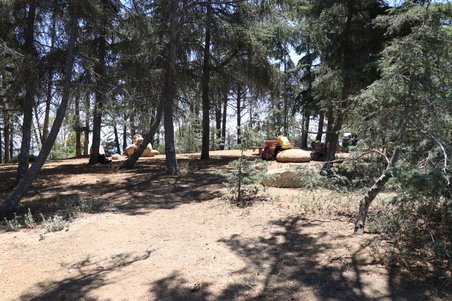 Enlarge photo 17