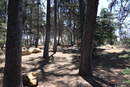 Enlarge photo 18