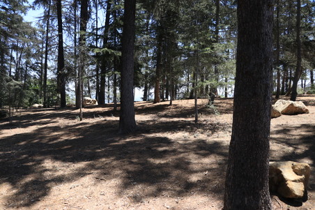 Enlarge photo 19