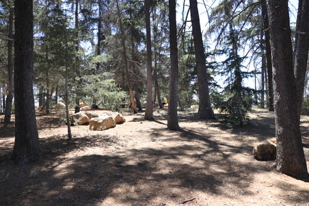 Enlarge photo 20