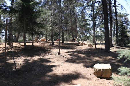 Enlarge photo 21