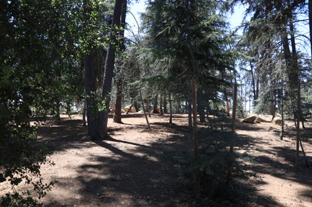 Enlarge photo 22
