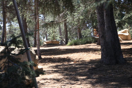 Enlarge photo 23