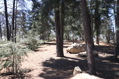 Enlarge photo 24